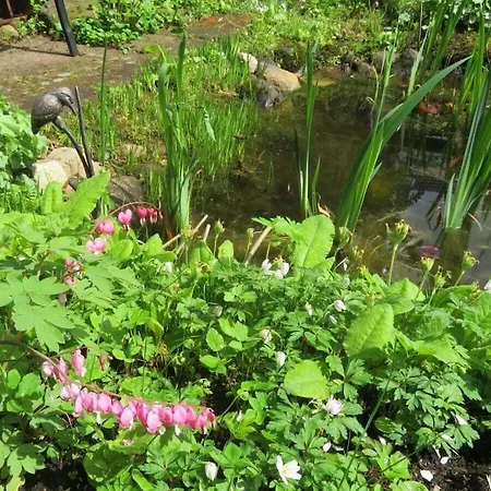 House Of The Wild Rose Holiday home *