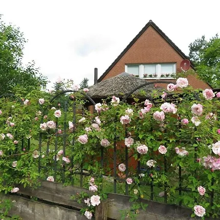 House Of The Wild Rose