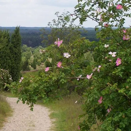 House Of The Wild Rose Holiday home