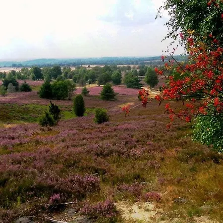Holiday home House Of The Wild Rose *