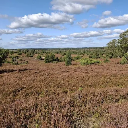 House Of The Wild Rose Holiday home *